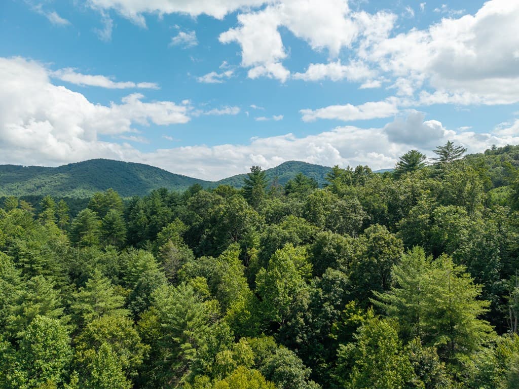 000 Higdon Creek Road, Blue Ridge GA 30513 - Photo