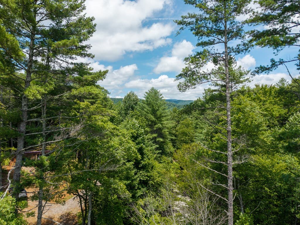 000 Higdon Creek Road, Blue Ridge GA 30513 - Photo