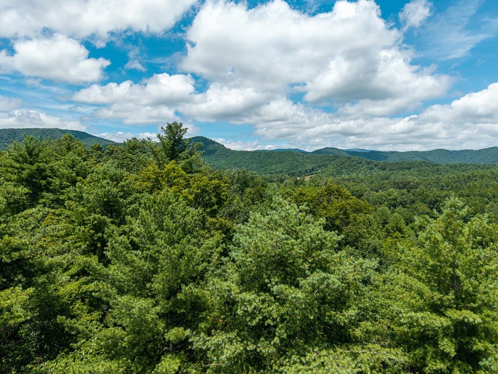 000 Higdon Creek Road, Blue Ridge GA 30513 - Photo