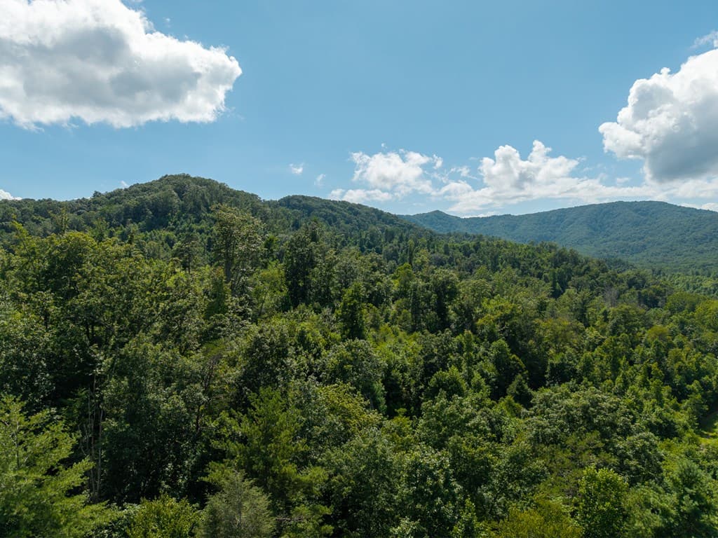 000 Higdon Creek Road, Blue Ridge GA 30513 - Photo
