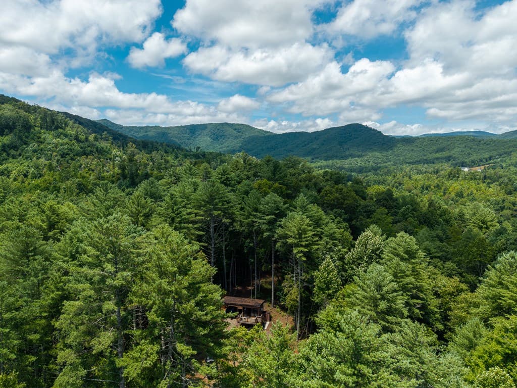 000 Higdon Creek Road, Blue Ridge GA 30513 - Photo