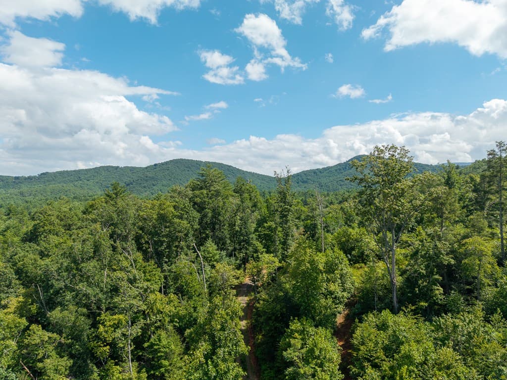 000 Higdon Creek Road, Blue Ridge GA 30513 - Photo