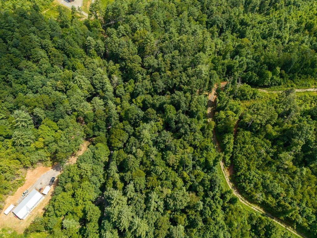 000 Higdon Creek Road, Blue Ridge GA 30513 - Photo