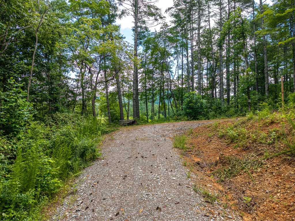 000 Higdon Creek Road, Blue Ridge GA 30513 - Photo