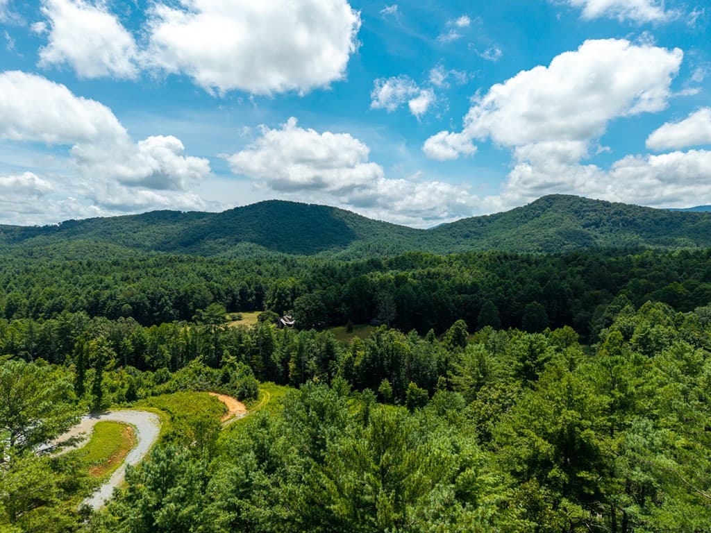 000 Higdon Creek Road, Blue Ridge GA 30513 - Photo