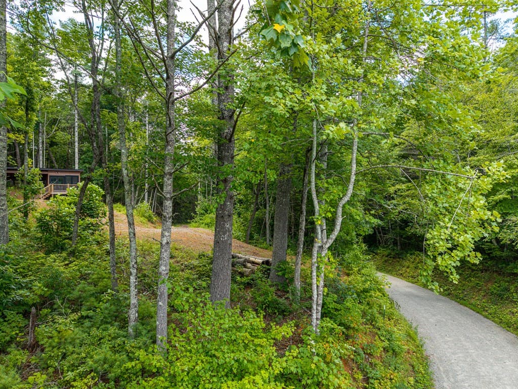 000 Higdon Creek Road, Blue Ridge GA 30513 - Photo