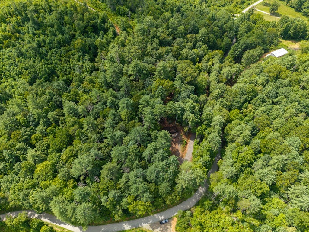 000 Higdon Creek Road, Blue Ridge GA 30513 - Photo