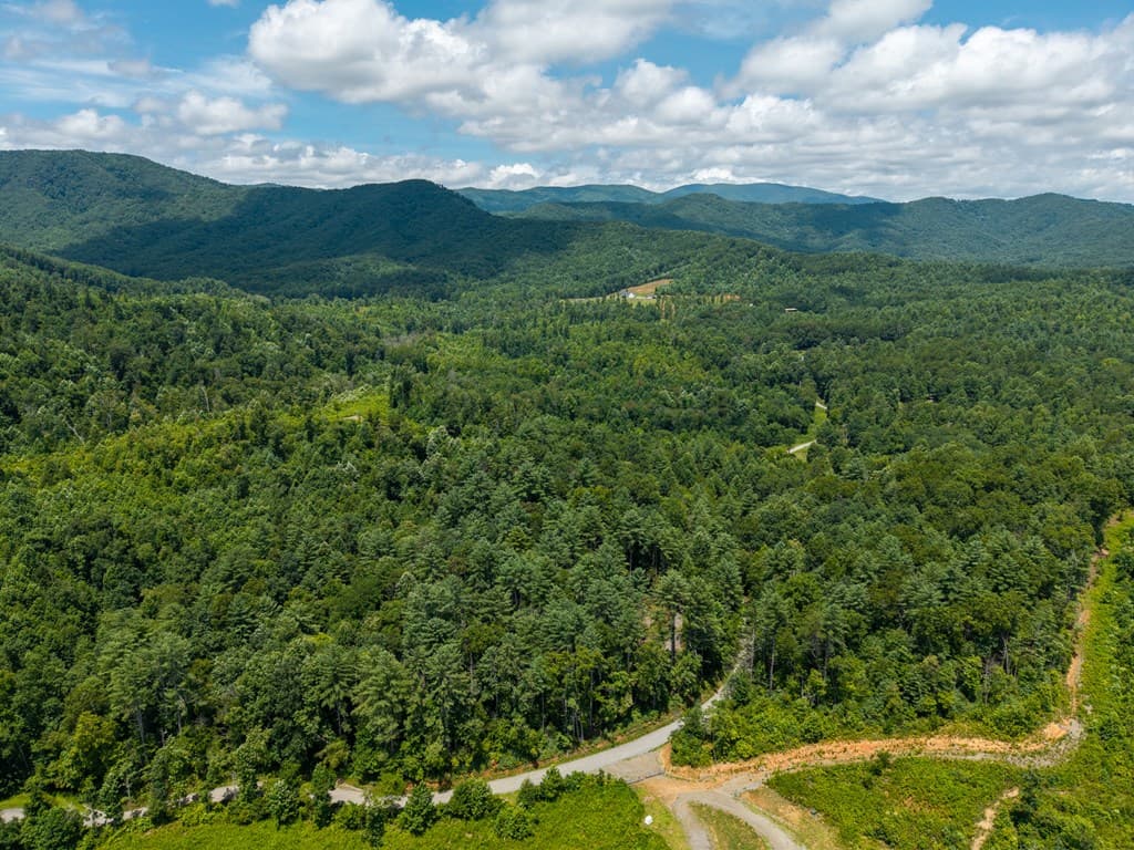 000 Higdon Creek Road, Blue Ridge GA 30513 - Photo