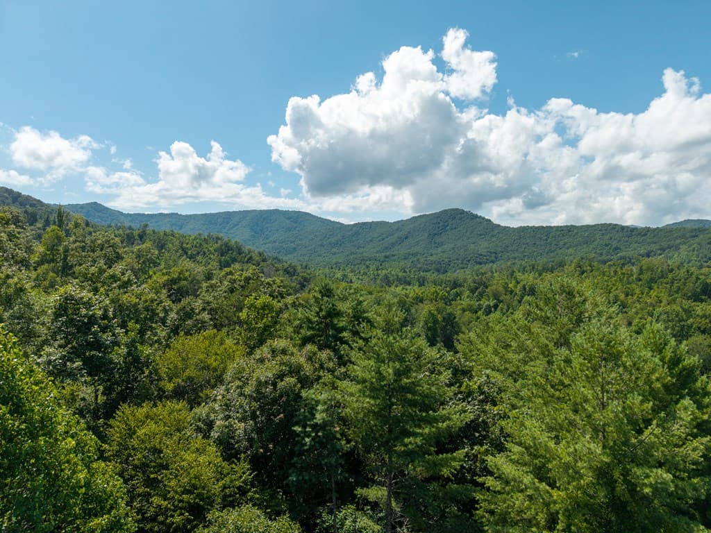 000 Higdon Creek Road, Blue Ridge GA 30513 - Photo