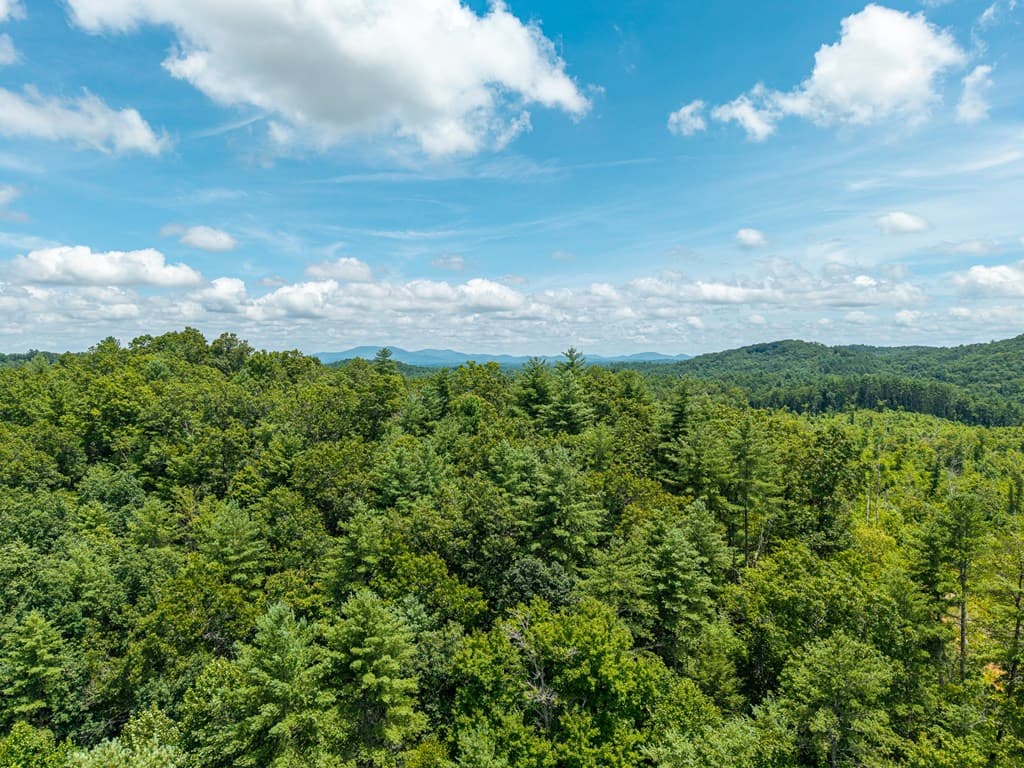 000 Higdon Creek Road, Blue Ridge GA 30513 - Photo