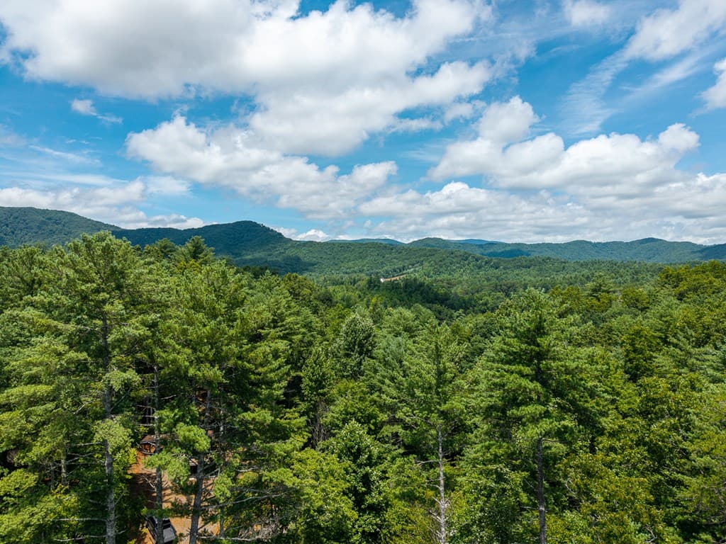 000 Higdon Creek Road, Blue Ridge GA 30513 - Photo