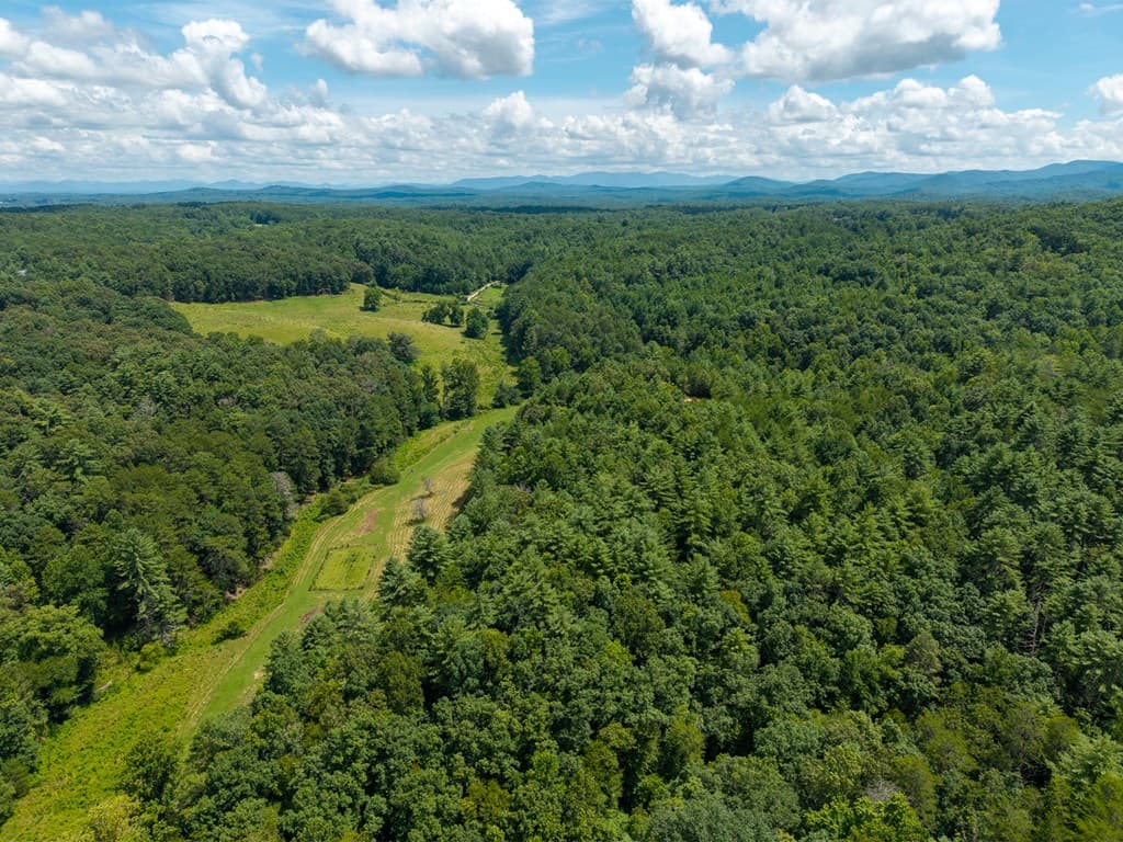 0 White Pine Road, Mccaysville GA 30555 - Photo