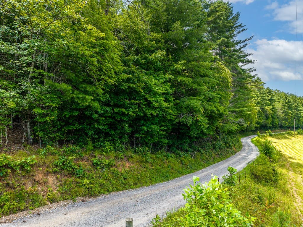 0 White Pine Road, Mccaysville GA 30555 - Photo