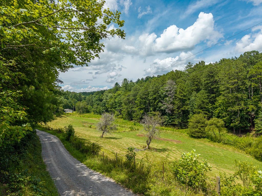 0 White Pine Road, Mccaysville GA 30555 - Photo