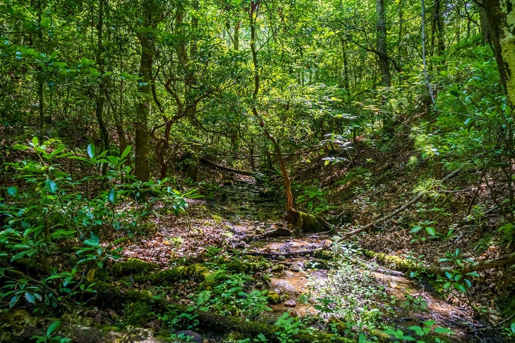 0 White Pine Road, Mccaysville GA 30555 - Photo