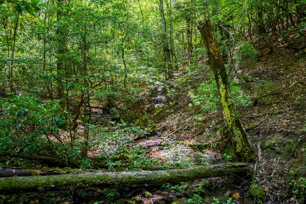 0 White Pine Road, Mccaysville GA 30555 - Photo