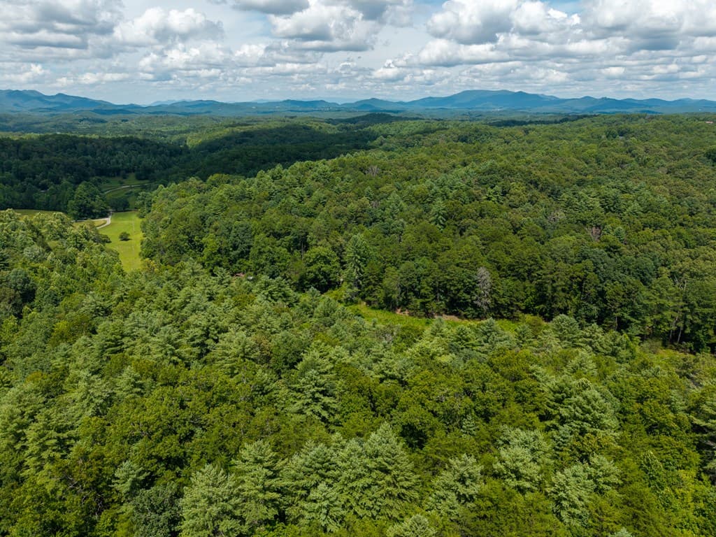 0 White Pine Road, Mccaysville GA 30555 - Photo