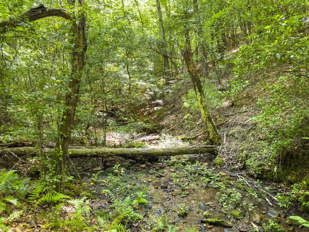 0 White Pine Road, Mccaysville GA 30555 - Photo