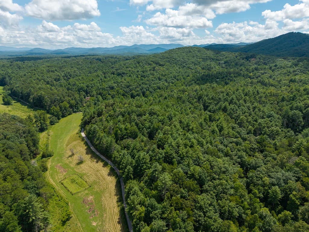 0 White Pine Road, Mccaysville GA 30555 - Photo
