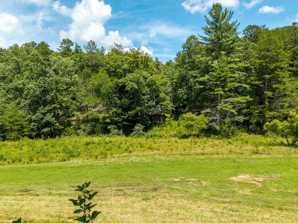 0 White Pine Road, Mccaysville GA 30555 - Photo