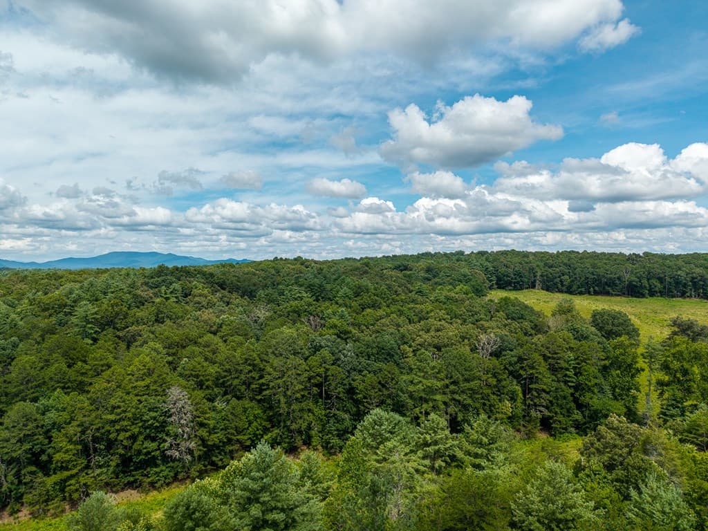 0 White Pine Road, Mccaysville GA 30555 - Photo