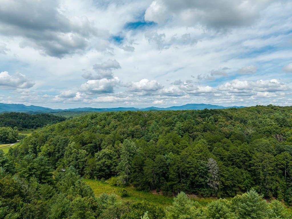 0 White Pine Road, Mccaysville GA 30555 - Photo