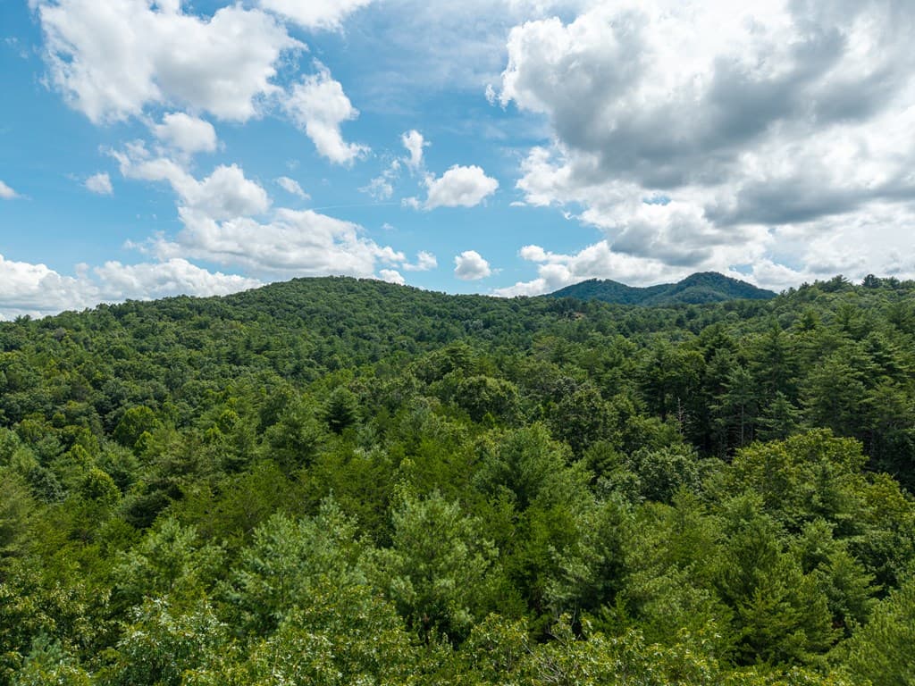 0 White Pine Road, Mccaysville GA 30555 - Photo