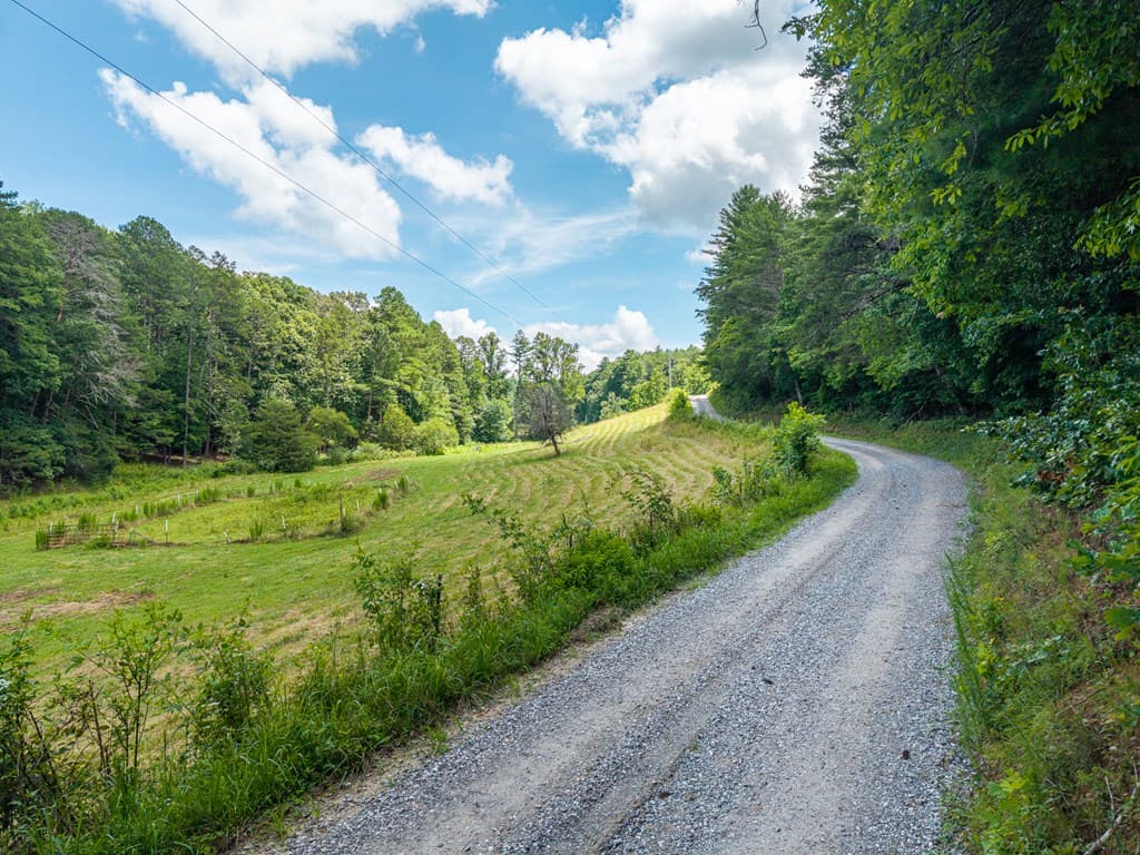 0 White Pine Road, Mccaysville GA 30555 - Photo