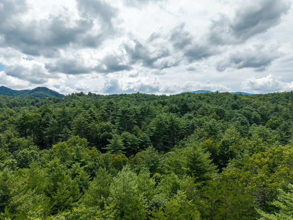 0 White Pine Road, Mccaysville GA 30555 - Photo
