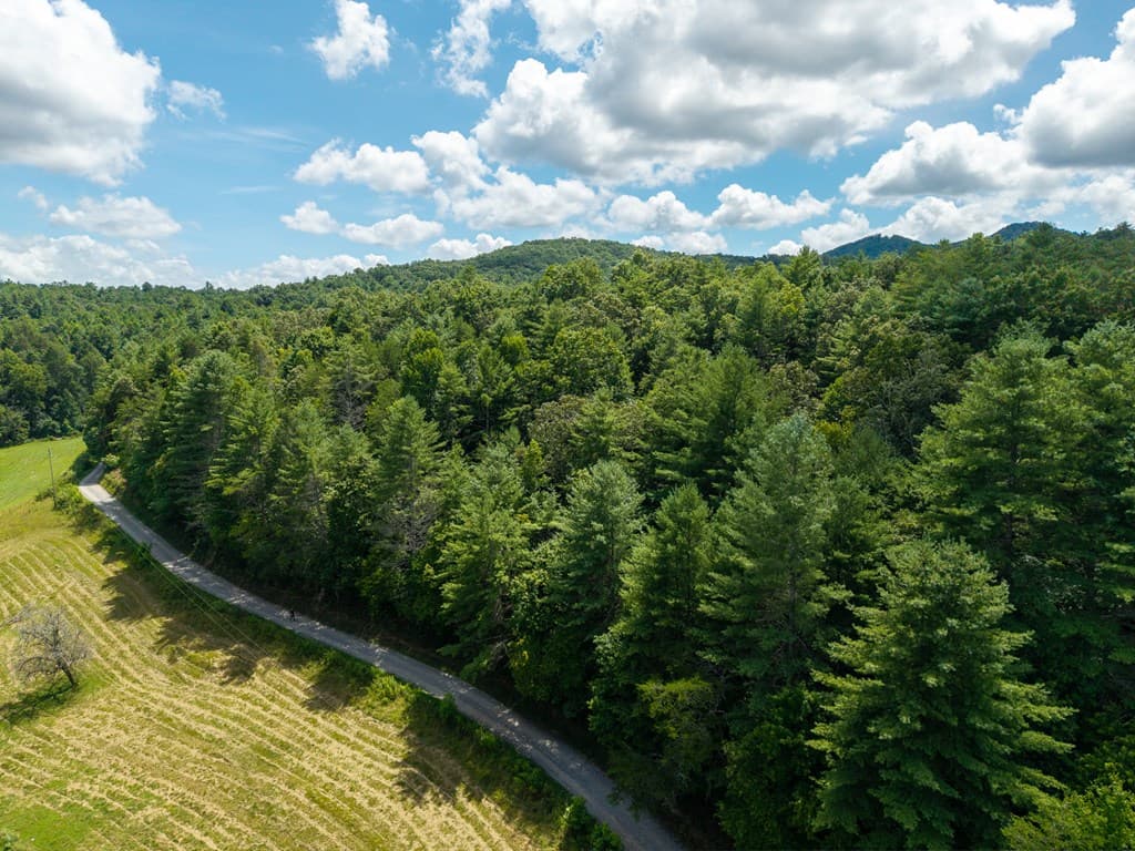 0 White Pine Road, Mccaysville GA 30555 - Photo