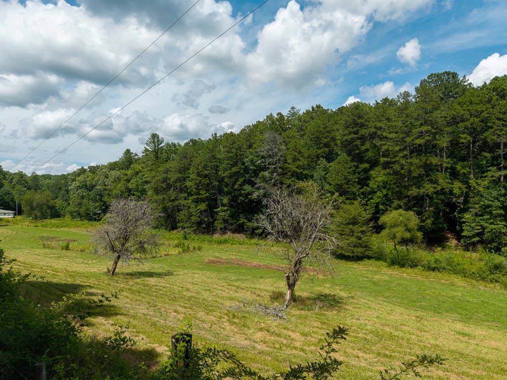 0 White Pine Road, Mccaysville GA 30555 - Photo