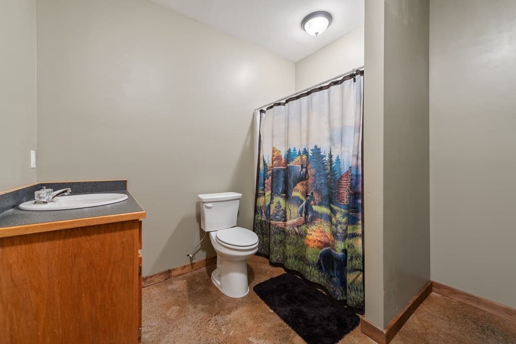 44 Lower Toccoa Hills, Blue Ridge GA 30513 - Photo