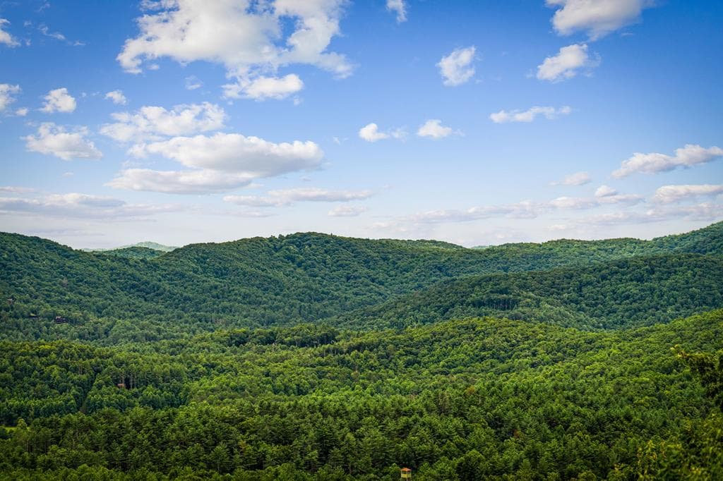 463 Big Sky Trail, Epworth GA 30541 - Photo