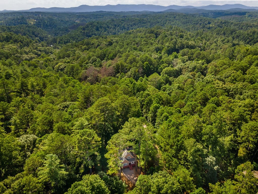 611 Monocle Drive, Ellijay GA 30540 - Photo