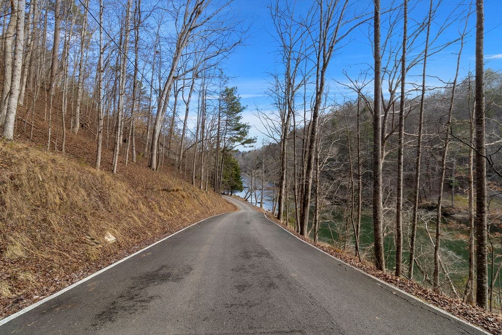 Lot 2965 Monticello Drive, Ellijay GA 30540 - Photo