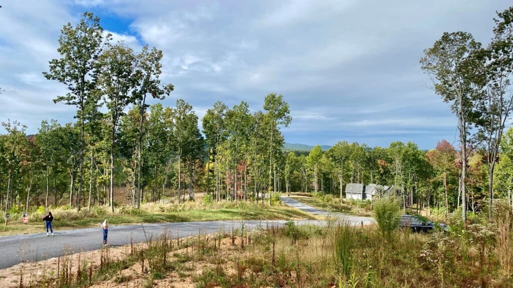 1084 Highgrove Drive, Talking Rock GA 30175 - Photo