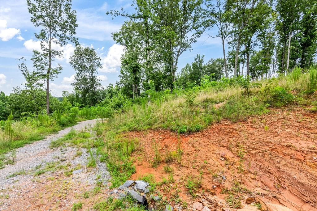 1084 Highgrove Drive, Talking Rock GA 30175 - Photo