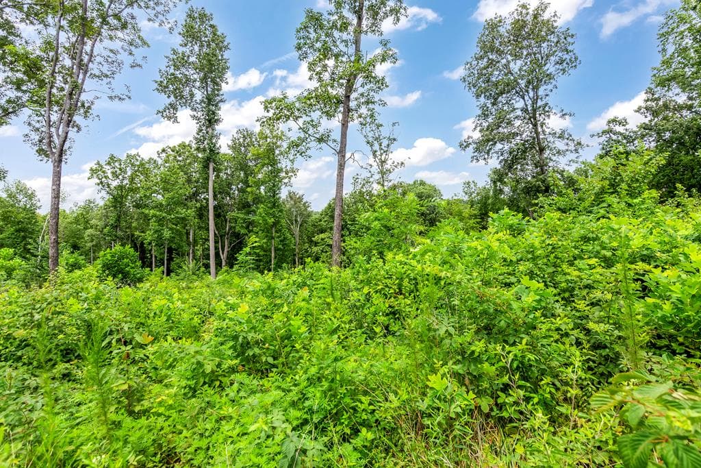 1084 Highgrove Drive, Talking Rock GA 30175 - Photo