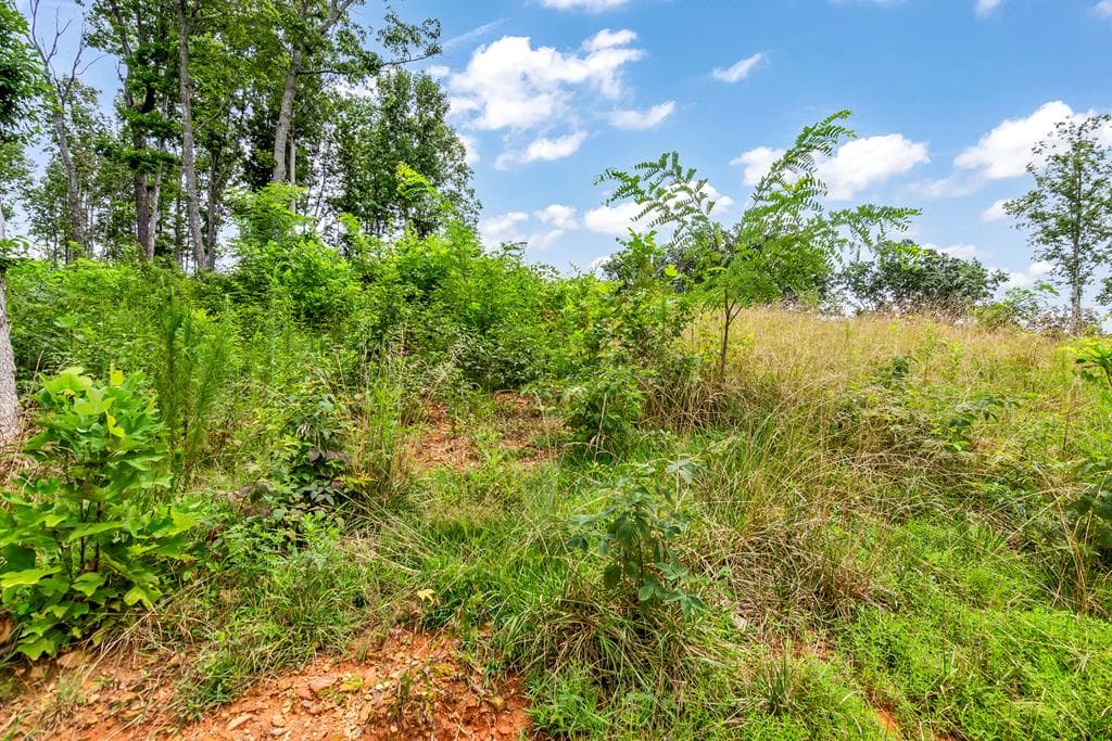 1084 Highgrove Drive, Talking Rock GA 30175 - Photo