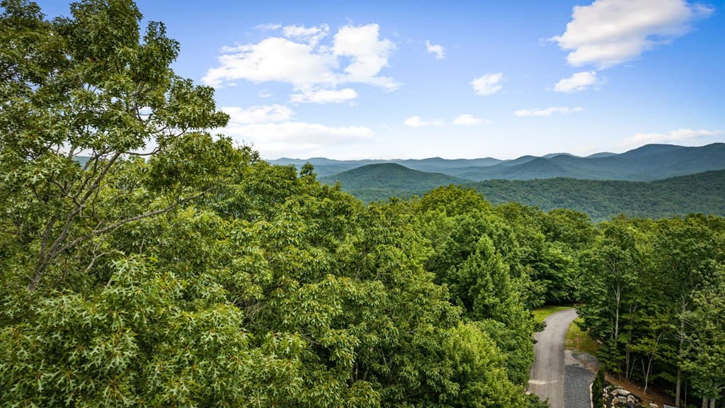 140 Bandit Lane, Blue Ridge GA 30513 - Photo