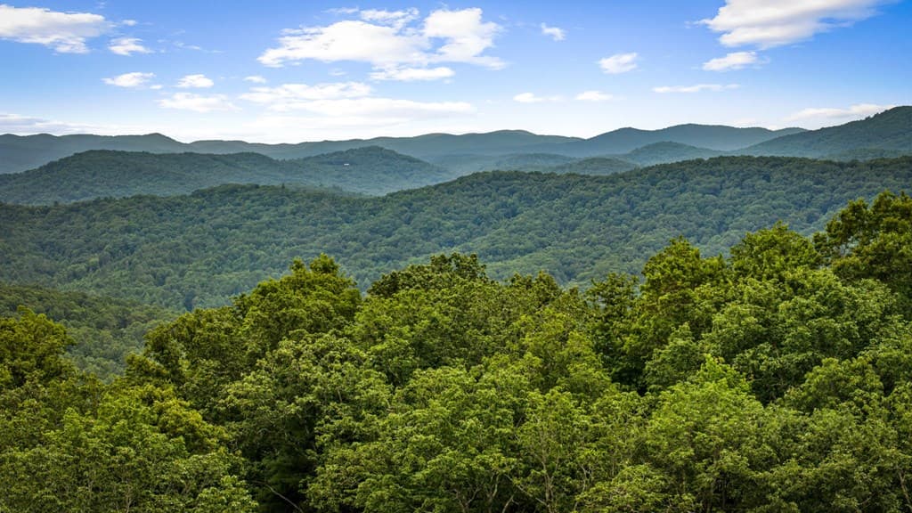 140 Bandit Lane, Blue Ridge GA 30513 - Photo