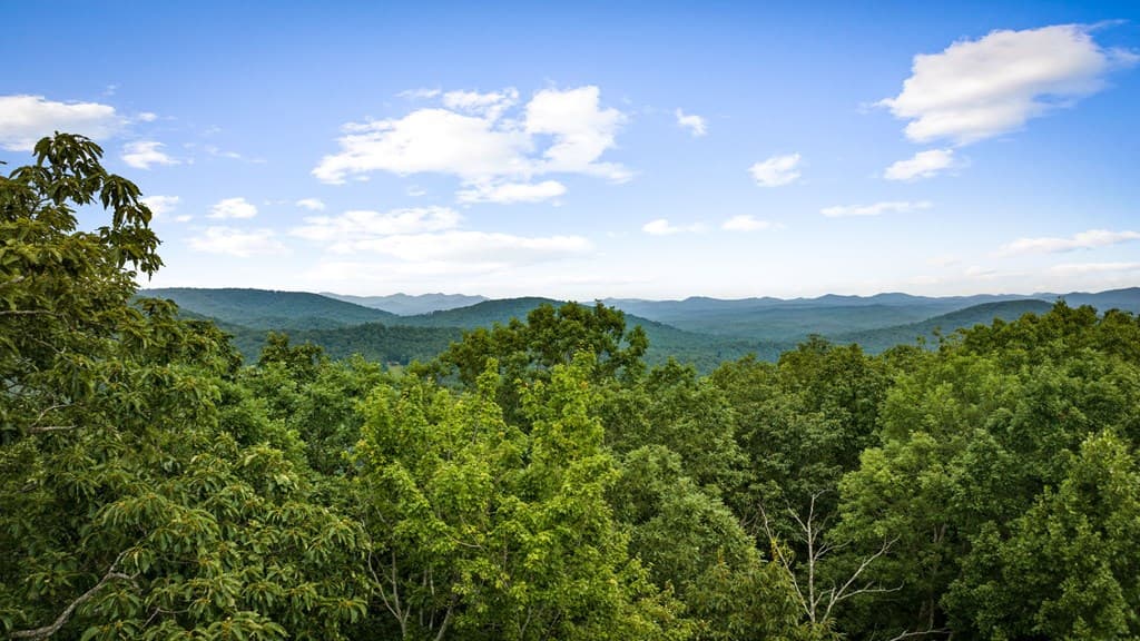 140 Bandit Lane, Blue Ridge GA 30513 - Photo
