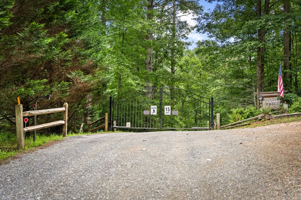 140 Bandit Lane, Blue Ridge GA 30513 - Photo