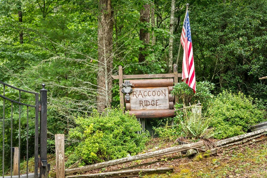 140 Bandit Lane, Blue Ridge GA 30513 - Photo