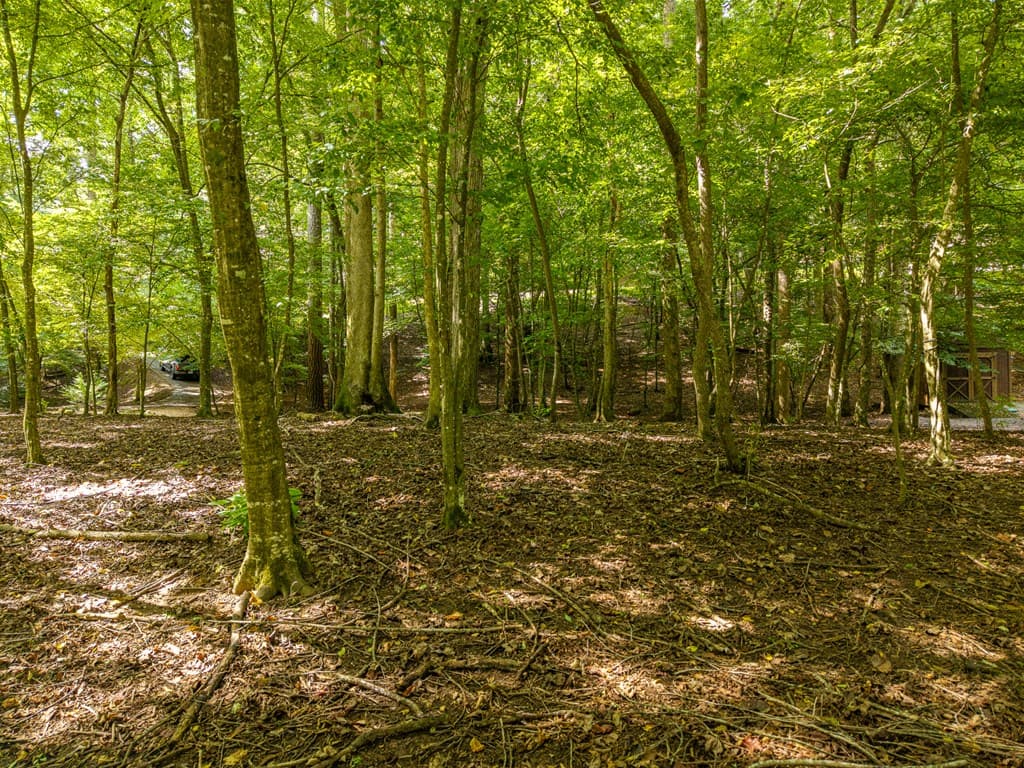550 Navaho Way, Ellijay GA 30540 - Photo