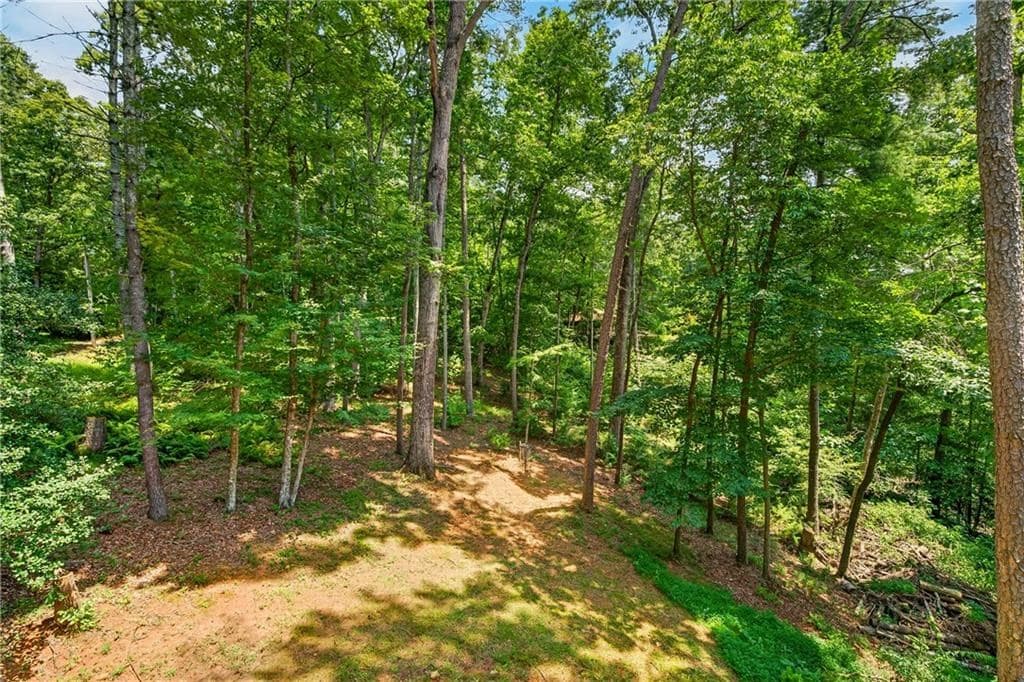 649 Power Dam Road, Blue Ridge GA 30513 - Photo