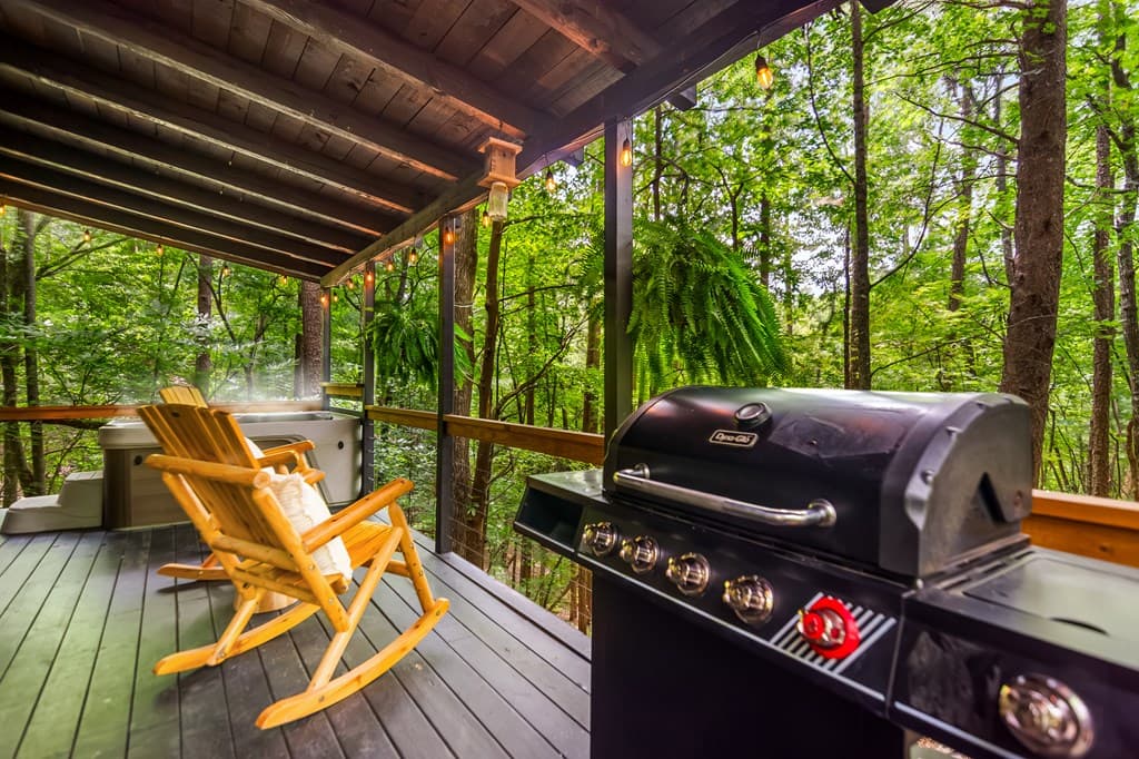 25 Nickwasi Way, Blue Ridge GA 30513 - Photo
