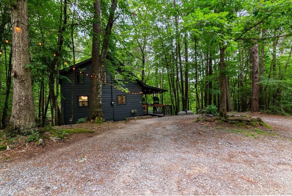 25 Nickwasi Way, Blue Ridge GA 30513 - Photo