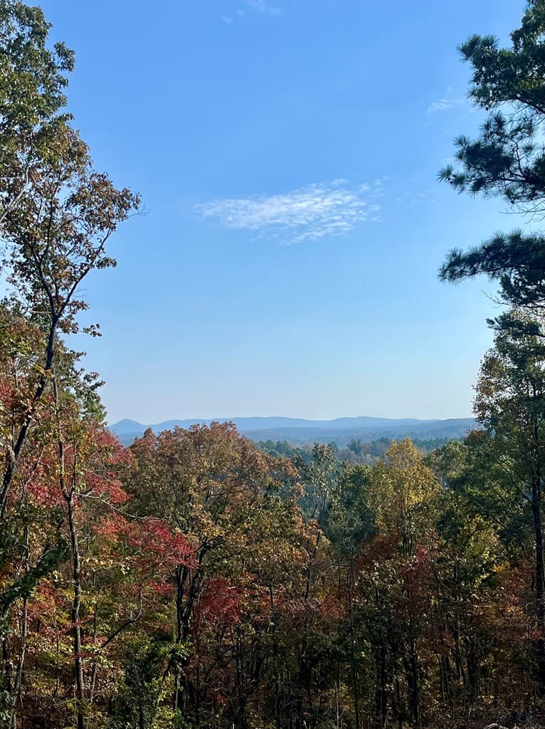 Lot 292 Creekside Crossing, Talking Rock GA 30175 - Photo