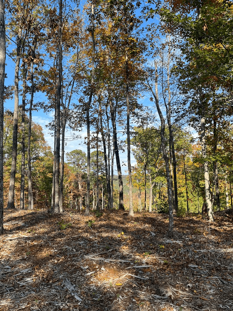 Lot 292 Creekside Crossing, Talking Rock GA 30175 - Photo